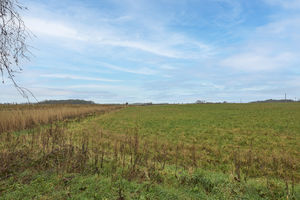 Photo 57- click for photo gallery